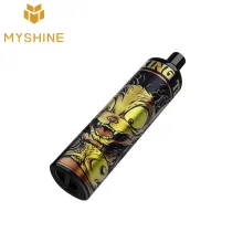 Vape jetable 850mAh 12ml 5000 Puffs Cigarette électronique